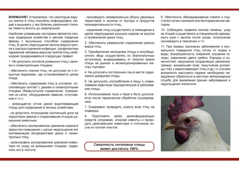 Памятка населения и фермерам по недопущению заноса и распространения вируса высокопатогенного гриппа птиц в популяции домашних птиц